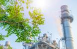 Tree with factory in the background