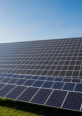 Strategii de sustenabilitate