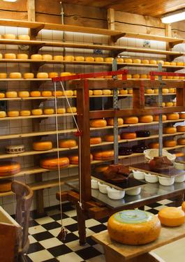 Industria alimentară