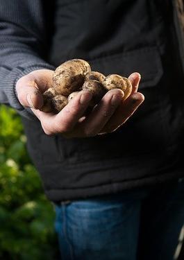 Modelând practici de lucru mai sigure