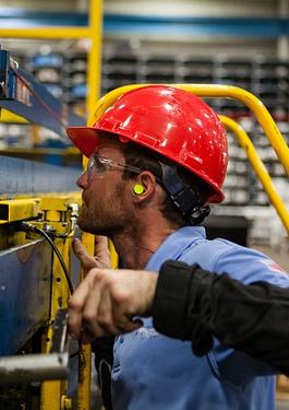 Rapoarte instantanee de inspecție