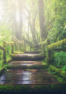 Sisteme de management ale mediului