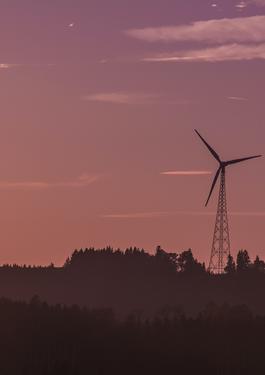 Organizația Global Wind