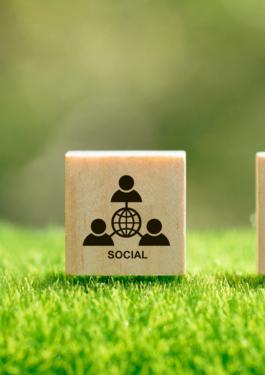 Curs ESG - Principii și Cerințe