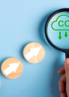 Cursul Calcularea Amprentei de Carbon